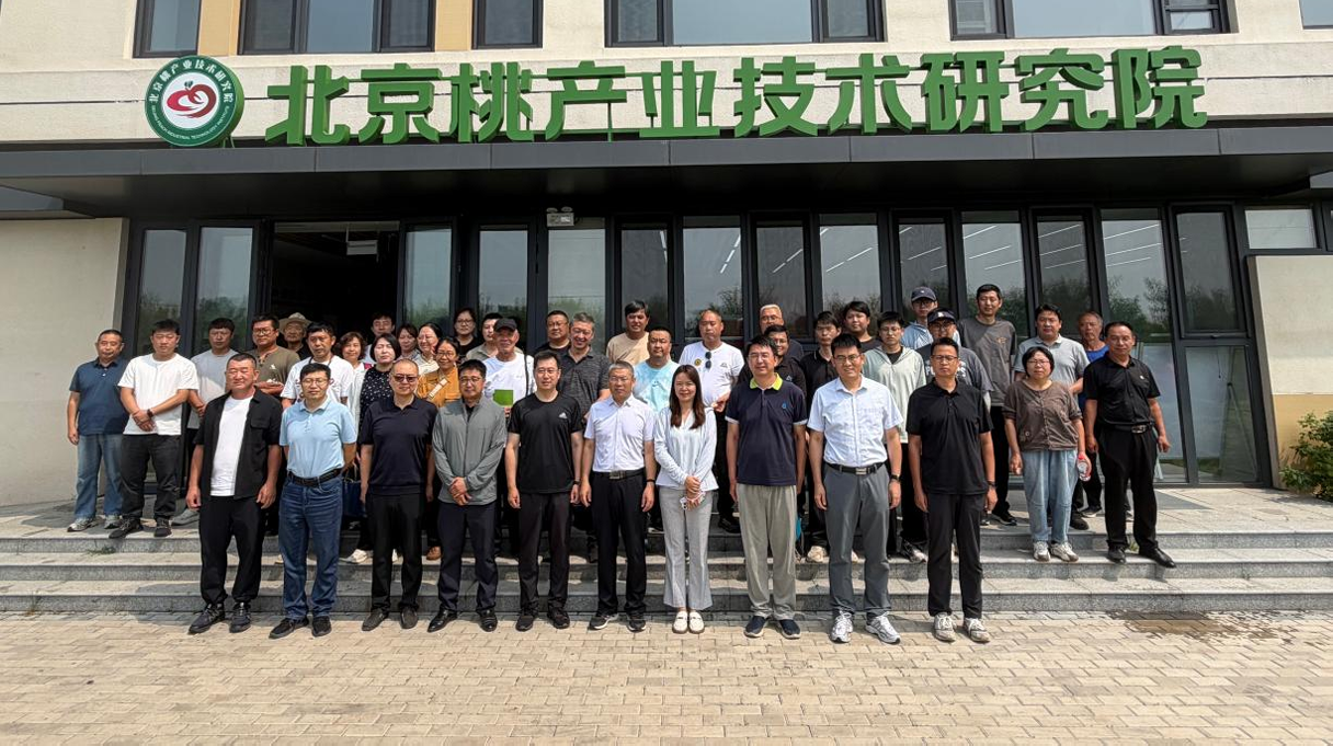 装备中心成功举办北京市桃产业技术交流会